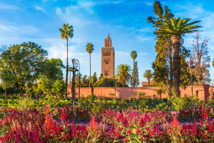 Marrakesh (Marocco)